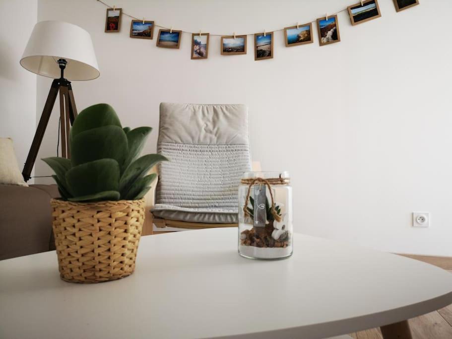 T3 - Appartement Jardin Wissant 6 Personnes Exteriör bild